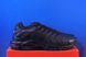Кросівки Nike Air Max Plus Black AJ2029-001 AJ2029-001 фото 4