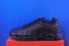 Кросівки Nike Air Max Plus Black AJ2029-001 AJ2029-001 фото 1