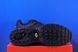 Кросівки Nike Air Max Plus Black AJ2029-001 AJ2029-001 фото 5