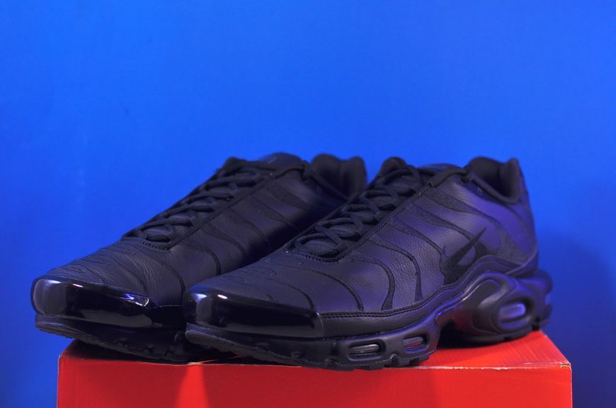 Кросівки Nike Air Max Plus Black AJ2029-001 AJ2029-001 фото