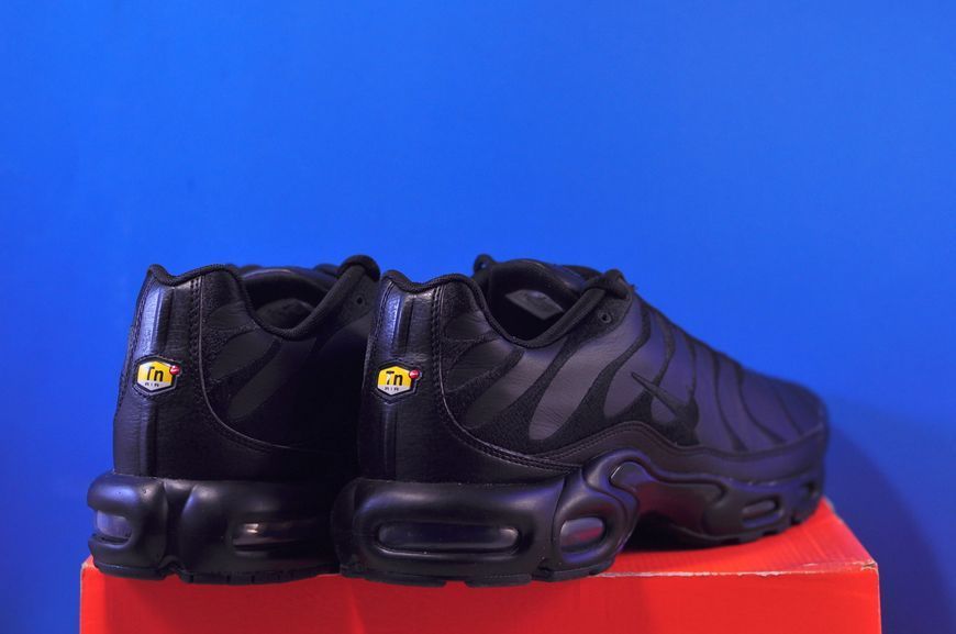 Кросівки Nike Air Max Plus Black AJ2029-001 AJ2029-001 фото
