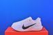 Кросівки Nike Pegasus Plus Road Running FQ7261-006 FQ7261-006 фото 1