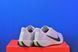 Кросівки Nike Pegasus Plus Road Running FQ7261-006 FQ7261-006 фото 3