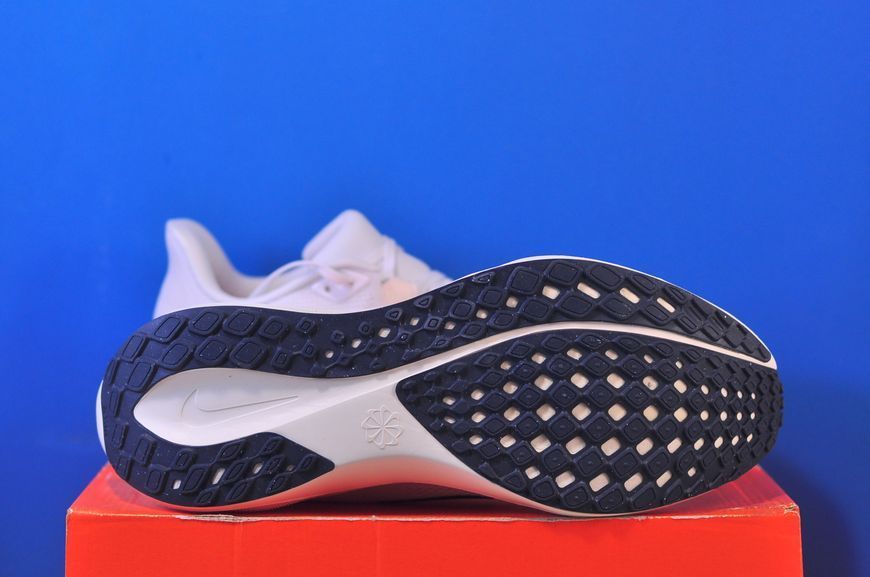 Кросівки Nike Air Zoom Pegasus 41 HF4300-100 HF4300-100 фото