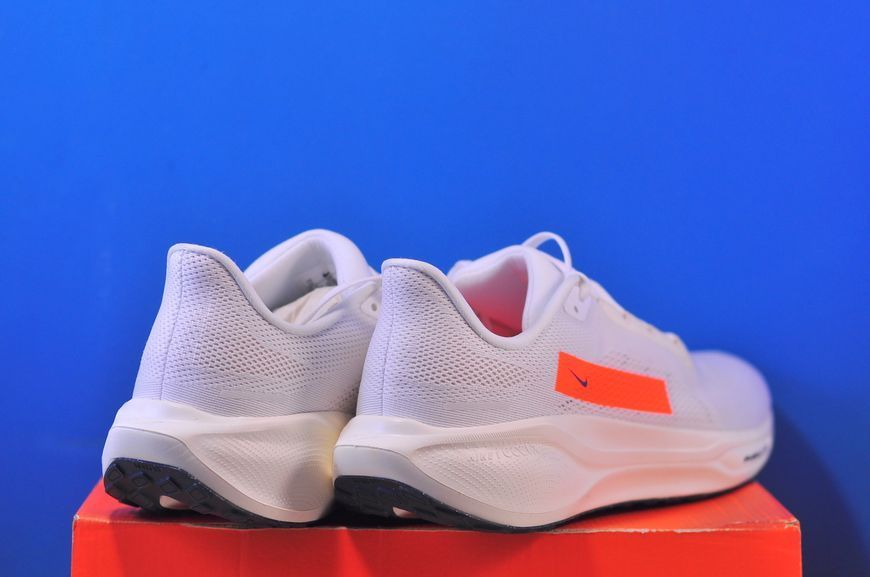 Кросівки Nike Air Zoom Pegasus 41 HF4300-100 HF4300-100 фото