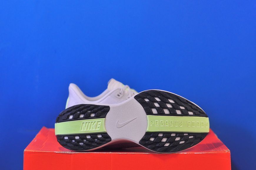Кросівки Nike Pegasus Plus Road Running FQ7261-006 FQ7261-006 фото