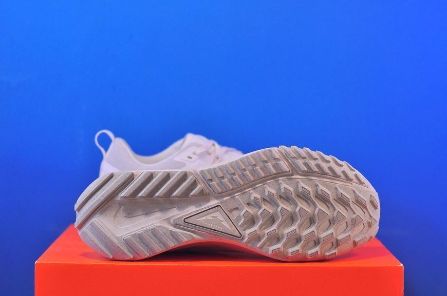 Кросівки Nike Pegasus Trail 4 Beige DJ6158-008 DJ6158-008 фото