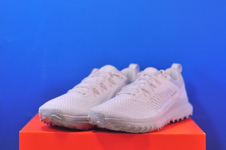 Кросівки Nike Pegasus Trail 4 Beige DJ6158-008 DJ6158-008 фото