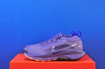 Кросівки Nike Pegasus Trail 5 GTX FQ0912-402 FQ0912-402 фото