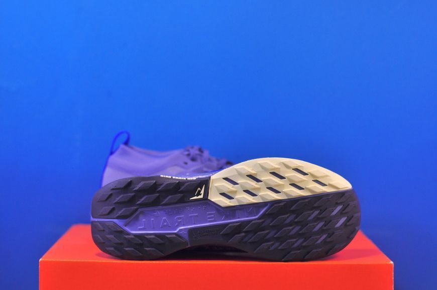 Кросівки Nike Pegasus Trail 5 GTX FQ0912-402 FQ0912-402 фото