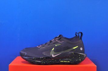 Кросівки Nike Pegasus Trail 5 Gore-Tex FQ0912-009 FQ0912-009 фото