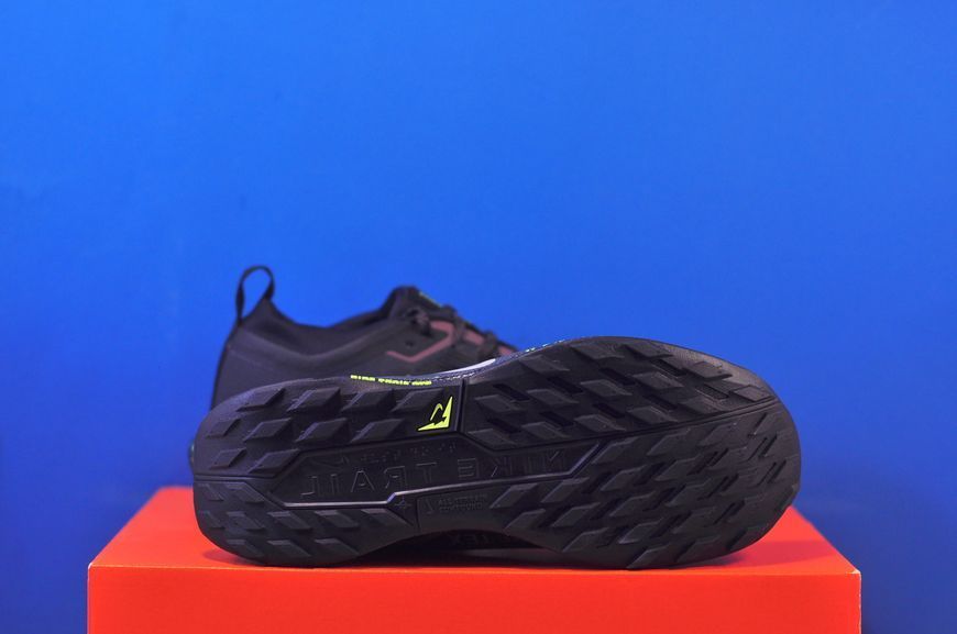 Кросівки Nike Pegasus Trail 5 Gore-Tex FQ0912-009 FQ0912-009 фото