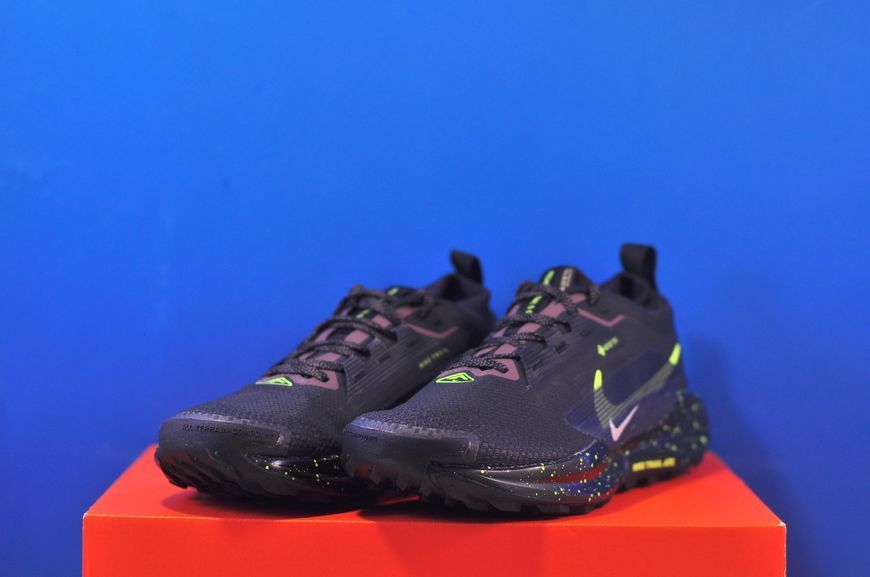 Кросівки Nike Pegasus Trail 5 Gore-Tex FQ0912-009 FQ0912-009 фото