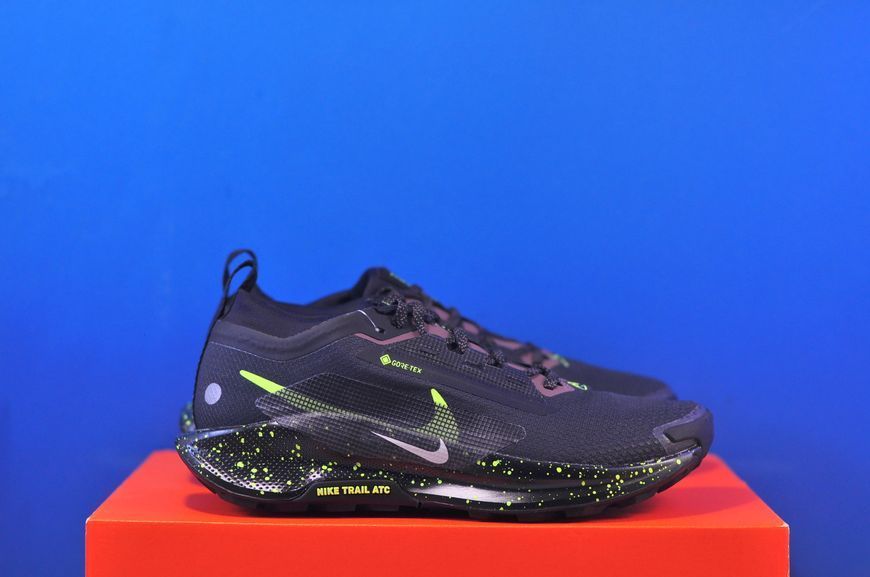 Кросівки Nike Pegasus Trail 5 Gore-Tex FQ0912-009 FQ0912-009 фото