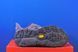 Кросівки Hoka Speedgoat 6 1147791 GCG 1147791 GCG фото 5
