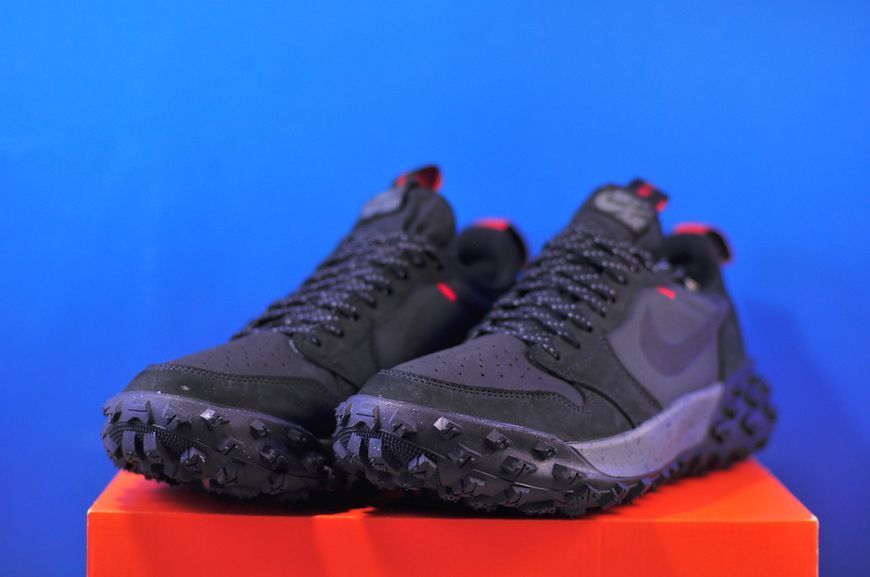 Кросівки Nike Air Jordan 1 Element Low Gore-Tex FV4227-002 FV4227-002 фото