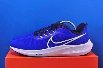 Кросівки Nike Air Zoom Pegasus 39 DH4071-400 фото