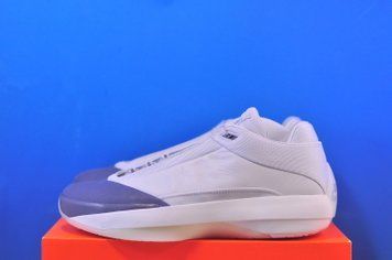 Кросівки Nike Air Jordan 40 Grey HM9931-001 HM9931-001 фото