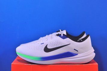 Кросівки Nike Winflo 10 Road Running Shoes White DV4022-103 DV4022-103 фото