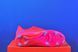 Бутси Nike Zoom Vapor 16 Academy FG/MG  FQ8374-800 FQ8374-800 фото 5