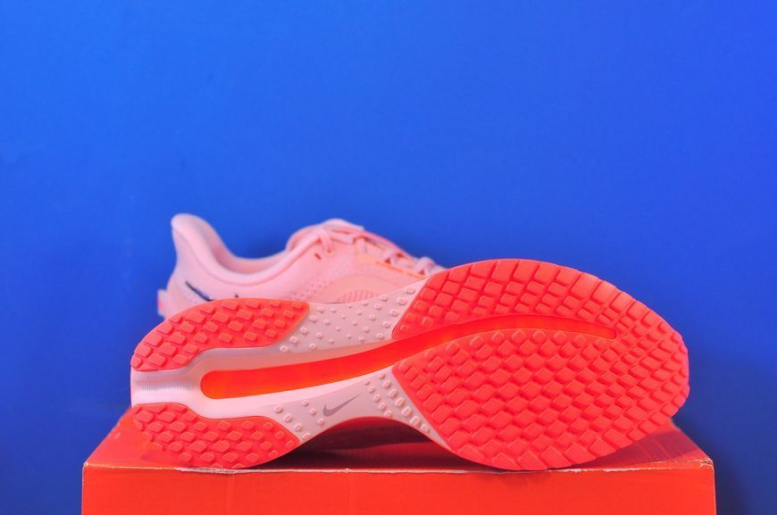 Кросівки Nike Pegasus Premium Peach/Beige II6308-600 II6308-600 фото