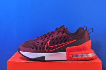 Кросівки Nike Air Max Alpha Trainer 6 FQ1833-600 FQ1833-600 фото