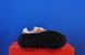 Кросівки Saucony Originals Shadow 6000 S70662-5 S70662-5 фото 2