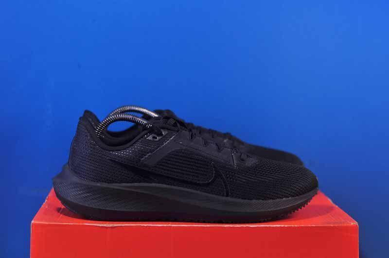 Кросівки Nike Air Zoom Pegasus 40 DV3853-002 DV3853-002 фото