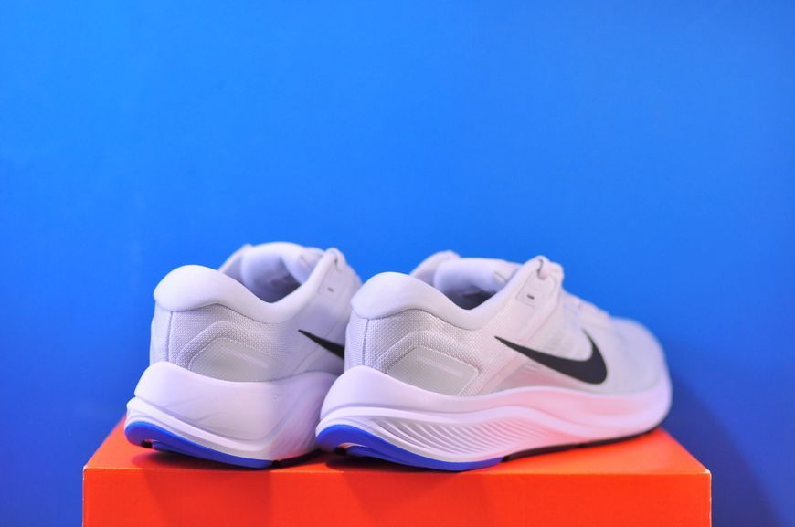 Кросівки Nike Air Zoom Structure 24 DA8535-004 DA8535-004 фото
