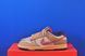 Кросівки Nike Dunk Low Retro Se HQ3640-790 HQ3640-790 фото 1