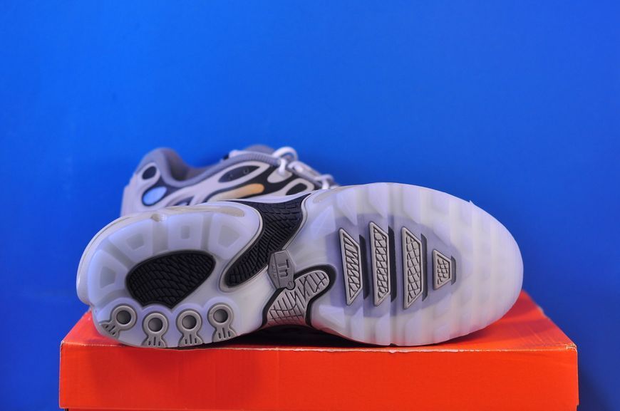 Кросівки Nike Air Max Plus Drift Shoes Grey FD4290-002 фото