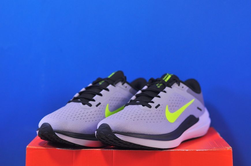 Кросівки Nike Air Winflo 10 DV4022-007 DV4022-007 фото