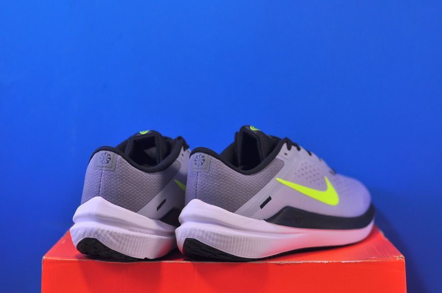 Кросівки Nike Air Winflo 10 DV4022-007 DV4022-007 фото