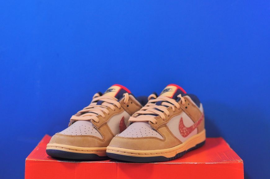 Кросівки Nike Dunk Low Retro Se HQ3640-790 HQ3640-790 фото