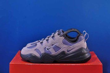 Кросівки Nike Tech Hera Ashen DR9761-401 DR9761-401 фото
