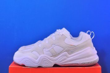Кросівки Nike Tech Hera White/Grey DR9761-100 DR9761-100 фото