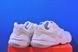 Кросівки Nike Tech Hera White/Grey DR9761-100 DR9761-100 фото 3