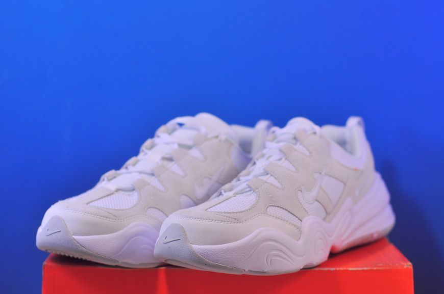 Кросівки Nike Tech Hera White/Grey DR9761-100 DR9761-100 фото