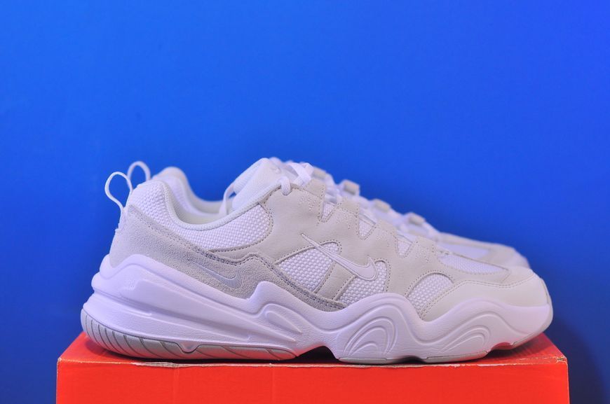 Кросівки Nike Tech Hera White/Grey DR9761-100 DR9761-100 фото