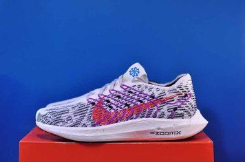 Кросівки Nike Pegasus Turbo SE FJ1050-100 FJ1050-100 фото