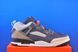 Кросівки Nike Jordan Spizike Low FQ1759-007 FQ1759-007 фото 4