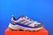 Кросівки Adidas Terrex Skychaser Ax5 Gore-Tex Grey/Multi JQ2212 JQ2212 фото 4