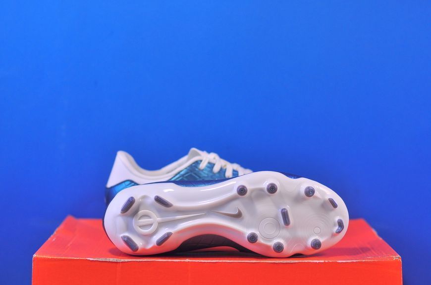 Бутси Nike Legend 10 Academy Fg/Mg FQ3243-300 FQ3243-300 фото