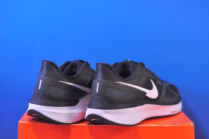 Кросівки Nike Air Zoom Structure 25 DJ7884-001 DJ7884-001 фото