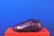 Бутси Nike Air Zoom Mercurial Vapor 16 Pro x Mbappe FG FQ8689-500 FQ8689-500 фото 1