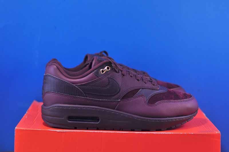 Кросівки Nike Air Max 1 87 Bordo DV3888-600 DV3888-600 фото