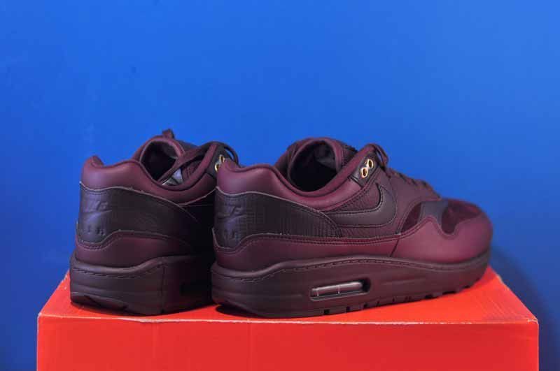 Кросівки Nike Air Max 1 87 Bordo DV3888-600 DV3888-600 фото