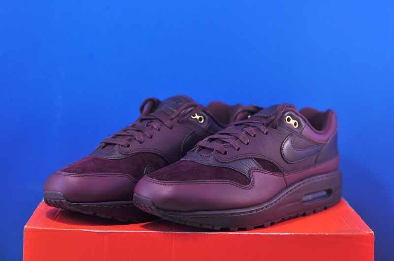 Кросівки Nike Air Max 1 87 Bordo DV3888-600 DV3888-600 фото