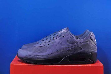 Кросівки Nike Air Max 90 Grey DZ4504-002 DZ4504-002 фото