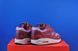 Кросівки Nike Air Max 1 x Patta “Dark Russet” DO9549-200 DO9549-200 фото 4